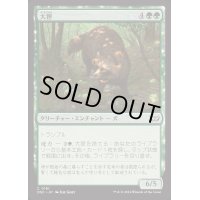 大狸/Greater Tanuki《日本語》【DSC】