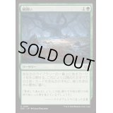 根囲い/Mulch《日本語》【DSC】