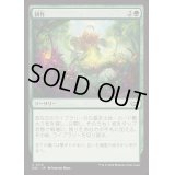 [EX+]耕作/Cultivate《日本語》【DSC】