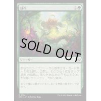 耕作/Cultivate《日本語》【DSC】