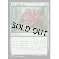 過去との取り組み/Grapple with the Past《日本語》【DSC】