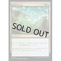 成長のらせん/Growth Spiral《日本語》【DSC】