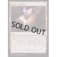 常夜会一家の店先/Obscura Storefront《日本語》【DSC】