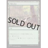 平穏な茂み/Tranquil Thicket《日本語》【DSC】