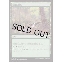 平穏な茂み/Tranquil Thicket《日本語》【DSC】