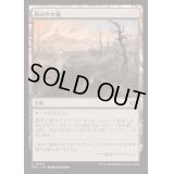 灰のやせ地/Ash Barrens《日本語》【DSC】