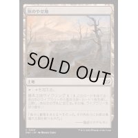 灰のやせ地/Ash Barrens《日本語》【DSC】