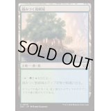 絡みつく島嶼域/Tangled Islet《日本語》【DSC】