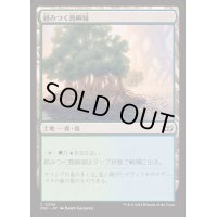絡みつく島嶼域/Tangled Islet《日本語》【DSC】