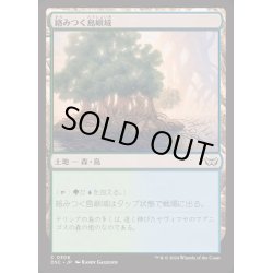 画像1: [EX+]絡みつく島嶼域/Tangled Islet《日本語》【DSC】