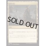 統率の塔/Command Tower《日本語》【DSC】