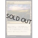 興隆する荒野/Thriving Heath《日本語》【DSC】