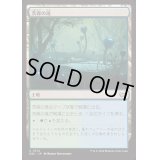 茨森の滝/Thornwood Falls《日本語》【DSC】