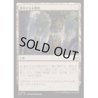 進化する未開地/Evolving Wilds《日本語》【DSC】