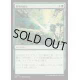 爆発的植生/Explosive Vegetation《日本語》【DSC】