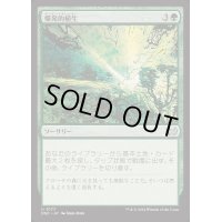 爆発的植生/Explosive Vegetation《日本語》【DSC】