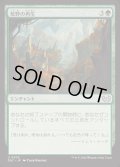 [EX+]荒野の再生/Wilderness Reclamation《日本語》【DSC】