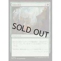 [EX+]荒野の再生/Wilderness Reclamation《日本語》【DSC】
