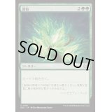 調和/Harmonize《日本語》【DSC】