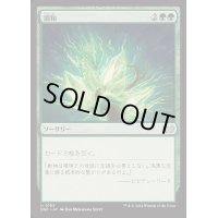 調和/Harmonize《日本語》【DSC】