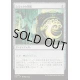 シミックの印鑑/Simic Signet《日本語》【DSC】