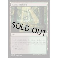 ゴルガリの腐敗農場/Golgari Rot Farm《日本語》【DSC】