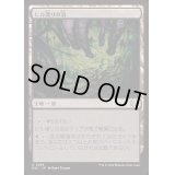 ヒル溜りの沼/Leechridden Swamp《日本語》【DSC】