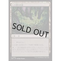 ヒル溜りの沼/Leechridden Swamp《日本語》【DSC】