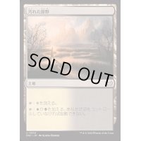 汚れた原野/Tainted Field《日本語》【DSC】