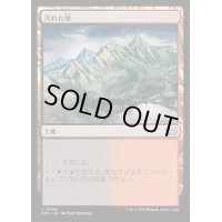 汚れた峰/Tainted Peak《日本語》【DSC】