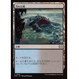 汚れた島/Tainted Isle《日本語》【DSC】