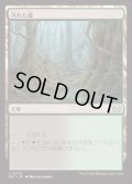 汚れた森/Tainted Wood《日本語》【DSC】