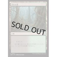 汚れた森/Tainted Wood《日本語》【DSC】
