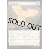 [EX+](フルアート)飛翔する光り/Soaring Lightbringer《日本語》【DSC】