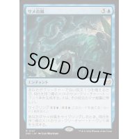 [EX+]サメ台風/Shark Typhoon《日本語》【DSC】