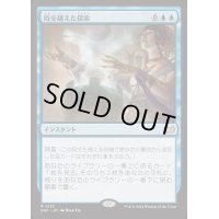 [EX+]時を越えた探索/Dig Through Time《日本語》【DSC】