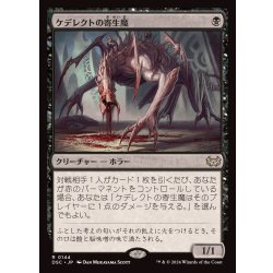 画像1: ケデレクトの寄生魔/Kederekt Parasite《日本語》【DSC】