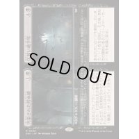 汚染された貯水槽+仄暗い地下牢/Polluted Cistern+Dim Oubliette《日本語》【DSC】