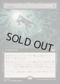 [EX](フルアート)穴の中へ/Into the Pit《日本語》【DSC】