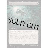 [EX](フルアート)穴の中へ/Into the Pit《日本語》【DSC】