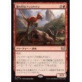 [EX+]暴れ回るフェロキドン/Rampaging Ferocidon《日本語》【DSC】