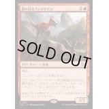 暴れ回るフェロキドン/Rampaging Ferocidon《日本語》【DSC】