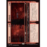 突刺回廊+拷問部屋/Spiked Corridor+Torture Pit《日本語》【DSC】