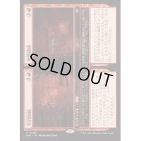 突刺回廊+拷問部屋/Spiked Corridor+Torture Pit《日本語》【DSC】