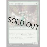 [EX+]シタヌールの秘儀司祭/Citanul Hierophants《日本語》【DSC】