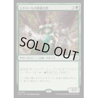 [EX+]シタヌールの秘儀司祭/Citanul Hierophants《日本語》【DSC】