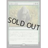[EX+]圧倒する暴走/Overwhelming Stampede《日本語》【DSC】