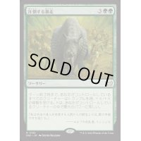 圧倒する暴走/Overwhelming Stampede《日本語》【DSC】