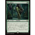 形なき始まり/Formless Genesis《日本語》【DSC】