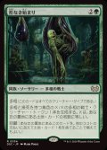 形なき始まり/Formless Genesis《日本語》【DSC】